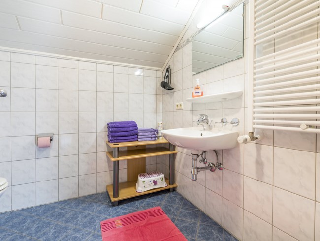 Badezimmer mit Dusche/WC und Waschbecken im Appartement 2